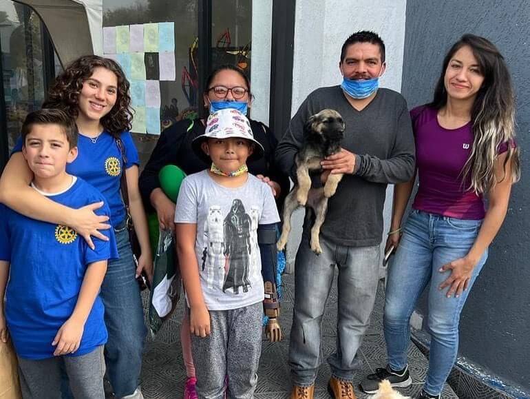 Amigos de 4 Patas
